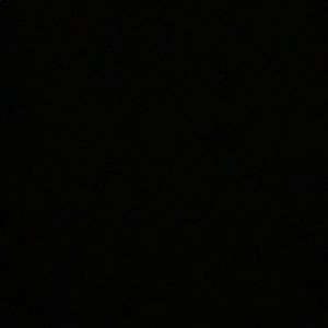 Meet your Posher, Chase